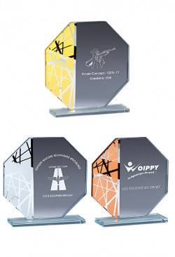 Trophée Verre Personnalisé 173-11-CLI