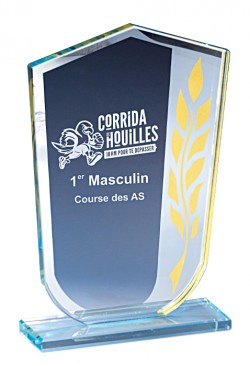 Trophée Verre Personnalisé 173-51-CLI