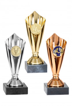 Coupe ABS Personnalisée : 0731-L