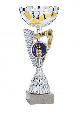 Coupe Personnalisée Métal : 1951-C