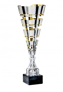 Coupe Laser Métal : 3871