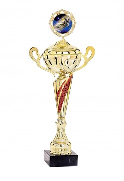 Coupe Personnalisée Métal : 4641W-C