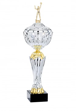 Coupe Personnalisée Métal : 4851W-D