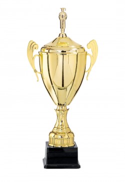 Coupe Personnalisée Métal : 5811W-D