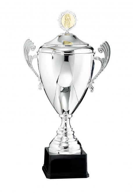 Coupe Personnalisée Métal : 6521W-C