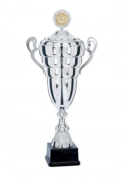 Coupe Personnalisée Métal : 6691W-C