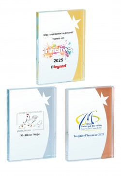 Trophée Verre Personnalisé 154-11-SU