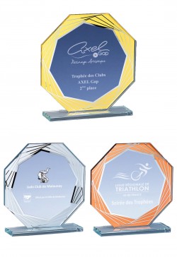 Trophée Verre Personnalisé 160-41-CLI