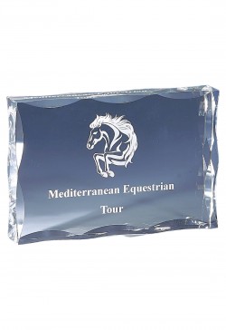 Trophée Plexi Personnalisé 177-01-CLI