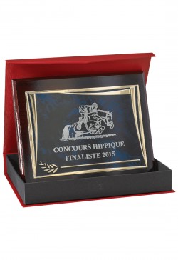 Plaque de distinction : 186-51-CLI