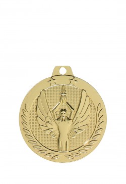 Médaille Ø 40 mm Victoire - DX17