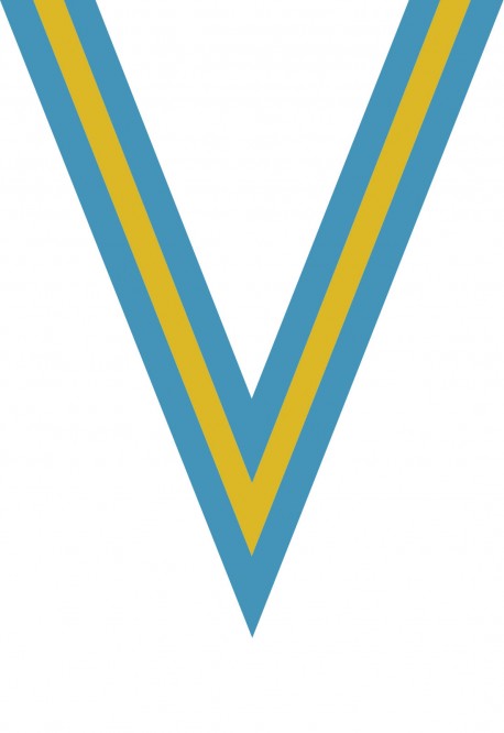 Ruban Médaille  Bleu ciel/Jaune/Bleu ciel : 6054