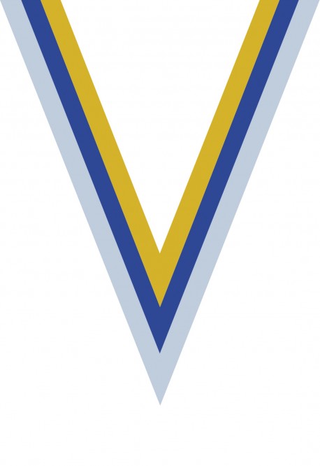 Ruban Médaille  Blanc/Bleu/Jaune : 6056