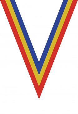 Ruban Médaille  Rouge/Jaune/Bleu : 6057