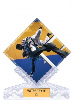 Trophée Judo 46114