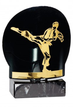 Trophée Métal Karaté FX08