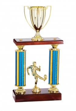 Trophée Personnalisé Figurine 148-93-D