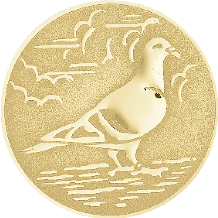 Médaille Personnalisée Ø 50 mm - Q-033